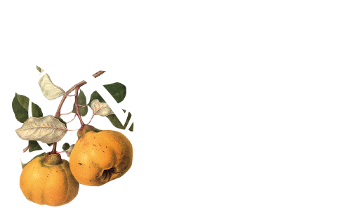 Frutti Antichi